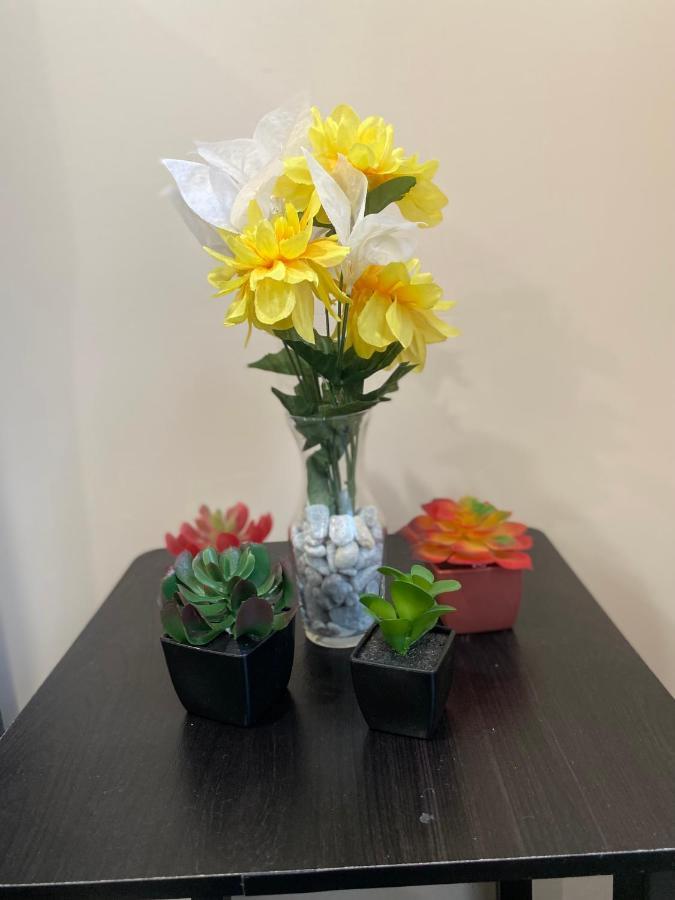 Private Room In South Philly Near Arenas! Philadelphia Exteriör bild