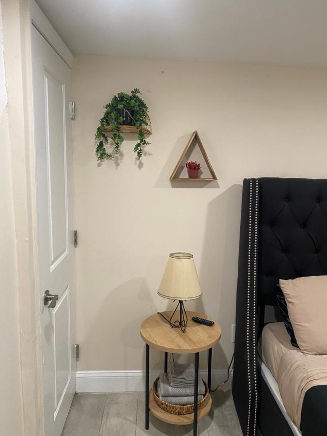 Private Room In South Philly Near Arenas! Philadelphia Exteriör bild